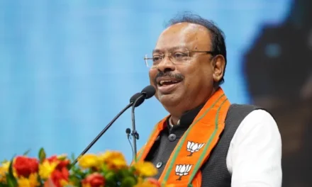 स्थानिक स्वराज्य संस्थांच्या निवडणुकीत महायुतीची ताकद दाखवणार; बावनकुळेंची मोठी घोषणा