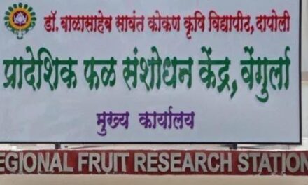 प्रादेशिक फळ संशोधन केंद्र, वेंगुर्ला येथे वेंगुर्ला-१० एमबी काजू वाण विकसित