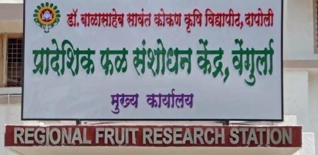 प्रादेशिक फळ संशोधन केंद्र, वेंगुर्ला येथे वेंगुर्ला-१० एमबी काजू वाण विकसित