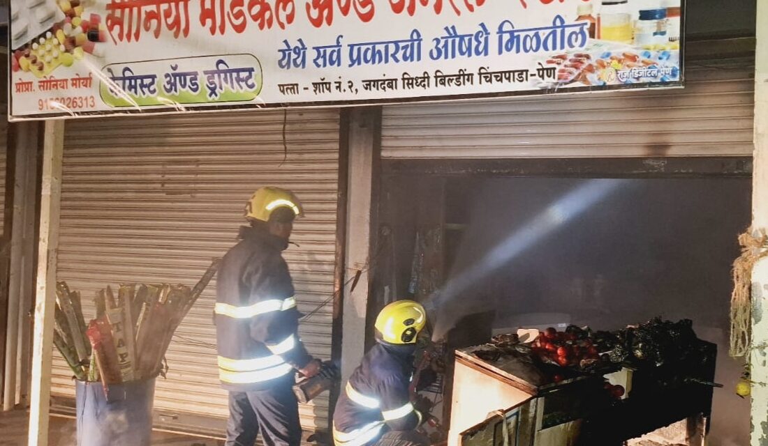 पेणमध्ये मेडिकल अँड जनरल स्टोअरला भीषण आग…..अग्निशमन दलाच्या जवानांनी आग आणली आटोक्यात