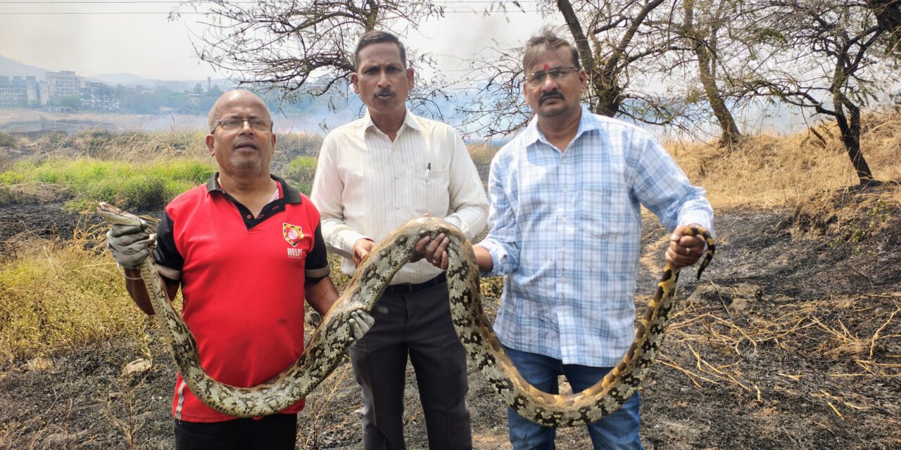 धगधगत्या ज्वाळांमध्ये जीवाची धडपड आणि मानवतेचा विजय!