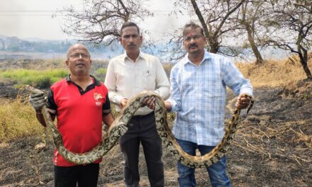 धगधगत्या ज्वाळांमध्ये जीवाची धडपड आणि मानवतेचा विजय!