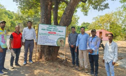 गारमाळ परिसरात बिबट्याचा वावर; वन विभागाचे सतर्कतेचे आवाहन.