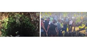 रत्नागिरीमध्ये विहिरीत पडला दुर्मीळ ब्लॅक पँथरस