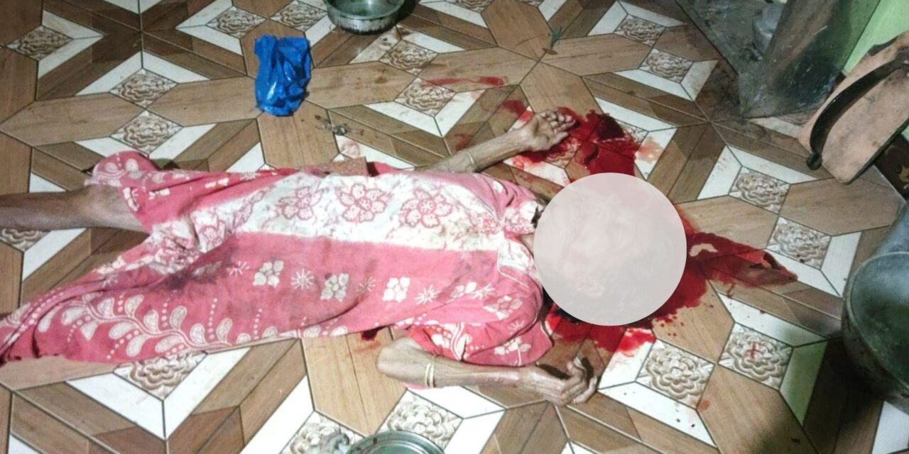 आईच्या डोक्यात वरवंटा घालून मुलानेच जखमी केले …