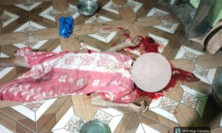 आईच्या डोक्यात वरवंटा घालून मुलानेच जखमी केले …