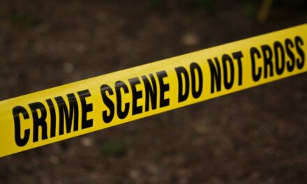 अंजनवेल येथे रात्री फेरफटका मारणाऱ्या वृद्धाला दगडाने ठेचून सोन्याची चैन लांबवली; तरुणावर गुन्हा