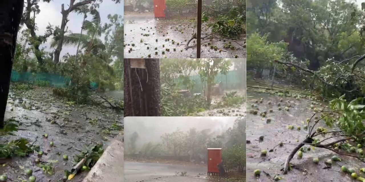 चिपळूणच्या पोफळी पंचक्रोशीत धुवाधार पाऊस