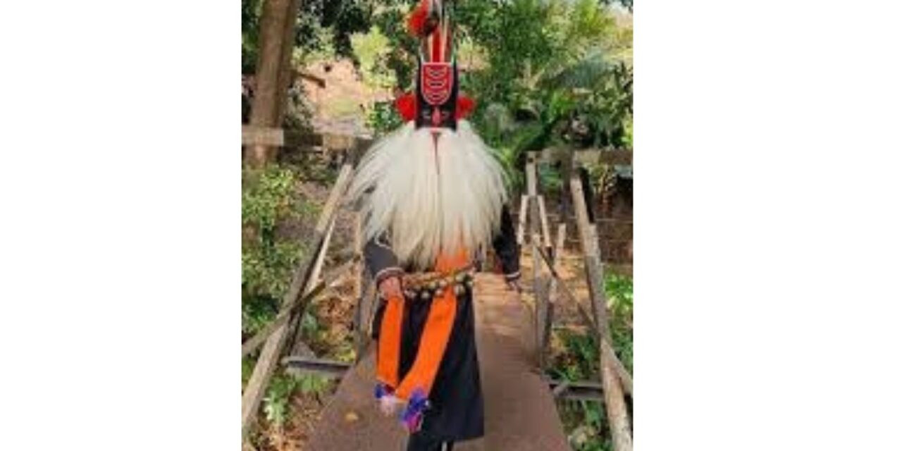 बिजघर कोंडवाडी मध्ये पालखी सोहळ्यात प्रथमच संकासुर अवतरला ; नागरिकांची धमाल मस्ती