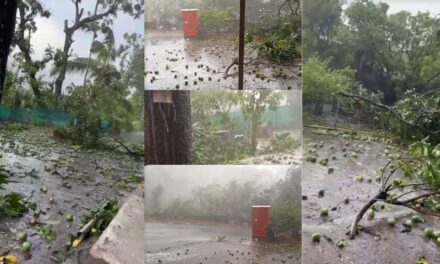 चिपळूणमध्ये तातडीने पंचनामे करून बागायतदारांना भरपाई द्या; राष्ट्रवादी काँग्रेसचे तहसीलदारांना निवेदन..!