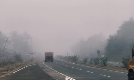 सिंधुदुर्गात दाट धुके..वातावरण आल्हाददायक..!