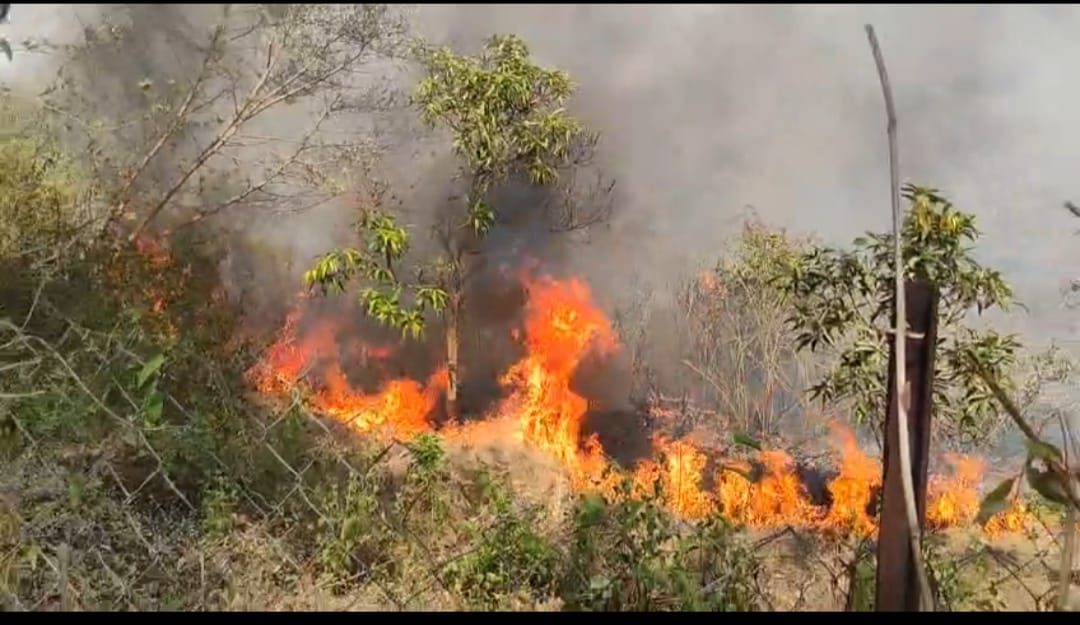 सुतारवाडी परिसरात वणवा लावण्याची मालिका सुरूच..