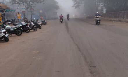 दापोलीत धुक्याची चादर: निसर्गाचे मनमोहक रूप