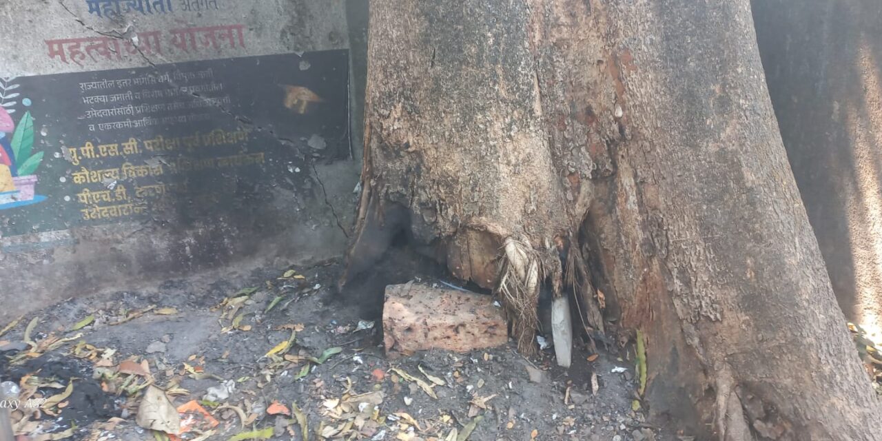 चिपळूण पंचायत समितीच्या प्रवेशद्वाराजवळच कचरा जाळण्याचा प्रकार; महाकाय वृक्ष धोक्यात, नागरिकांत संताप