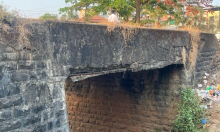 धोक्याची घंटा! मिरजोळी येथील ब्रिटिशकालीन पूल मोजतोय शेवटची घटका : रहिमान दलवाई