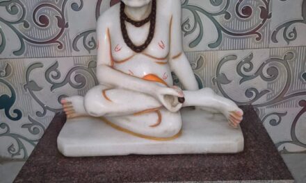 श्री स्वामी समर्थ वटवृक्ष मंदिर खेंड चौकी येथे प्रकट दिन सोहळा