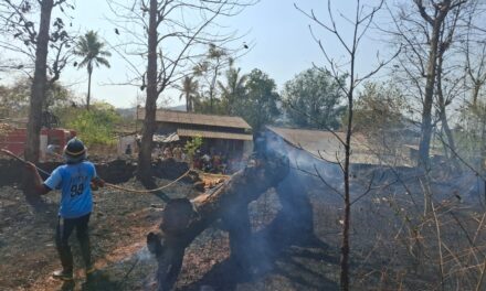 चाकाळे बौद्धवाडीत भीषण वणवा; अग्निशामक दलाच्या तत्परतेने चार घरे वाचली