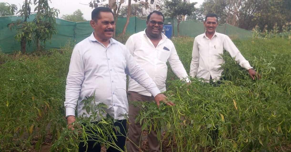 मिरची, कलिंगड आणि भेंडीमधून भरघोस उत्पन्न; बाहे गावातील शेतकऱ्याचा यशस्वी प्रयोग