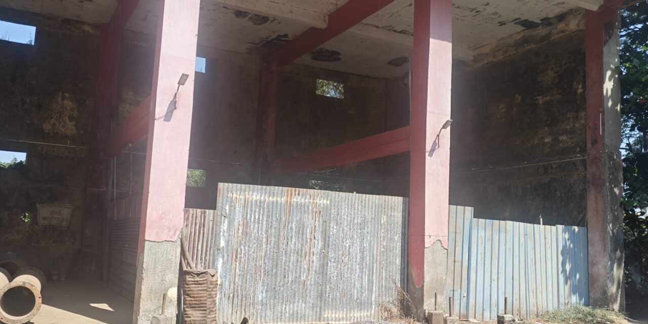 भटक्या कुत्र्यांच्या नसबंदीचे काम रखडले; चिपळूण नगरपालिकेवर जबाबदारीचा ठपका