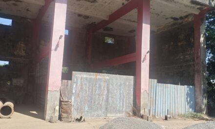 भटक्या कुत्र्यांच्या नसबंदीचे काम रखडले; चिपळूण नगरपालिकेवर जबाबदारीचा ठपका