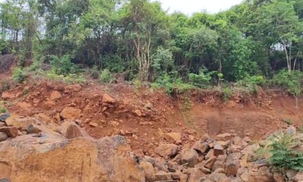 धरणाच्या कामासाठी रस्ताच खोदला! जलसंधारण विभागाच्या चुकीमुळे ग्रामस्थांची वहिवाट बंद