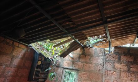 लांजा तालुक्यात अवकाळी पावसाचा कहर; घरे, गोठ्यांचे नुकसान, आंबा बागांना मोठा फटका