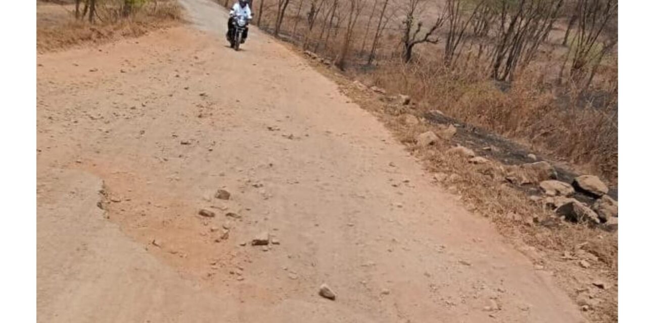 पाली–निरबाडे–मुसाड–कुरवळ मार्गाची दयनीय अवस्था; ग्रामस्थांचा २८ एप्रिलला उपोषणाचा इशारा !