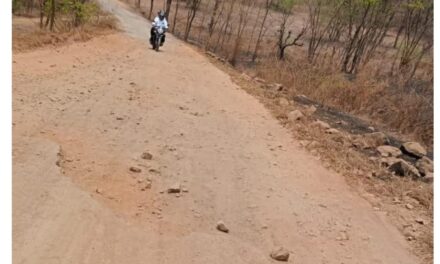 पाली–निरबाडे–मुसाड–कुरवळ मार्गाची दयनीय अवस्था; ग्रामस्थांचा २८ एप्रिलला उपोषणाचा इशारा !