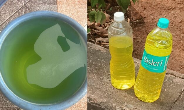 पिरलोटे तील ‘नळाला रासायनिक सांडपाणी’ प्रकरणातील सर्व ग्रामस्थ सुखरूप.