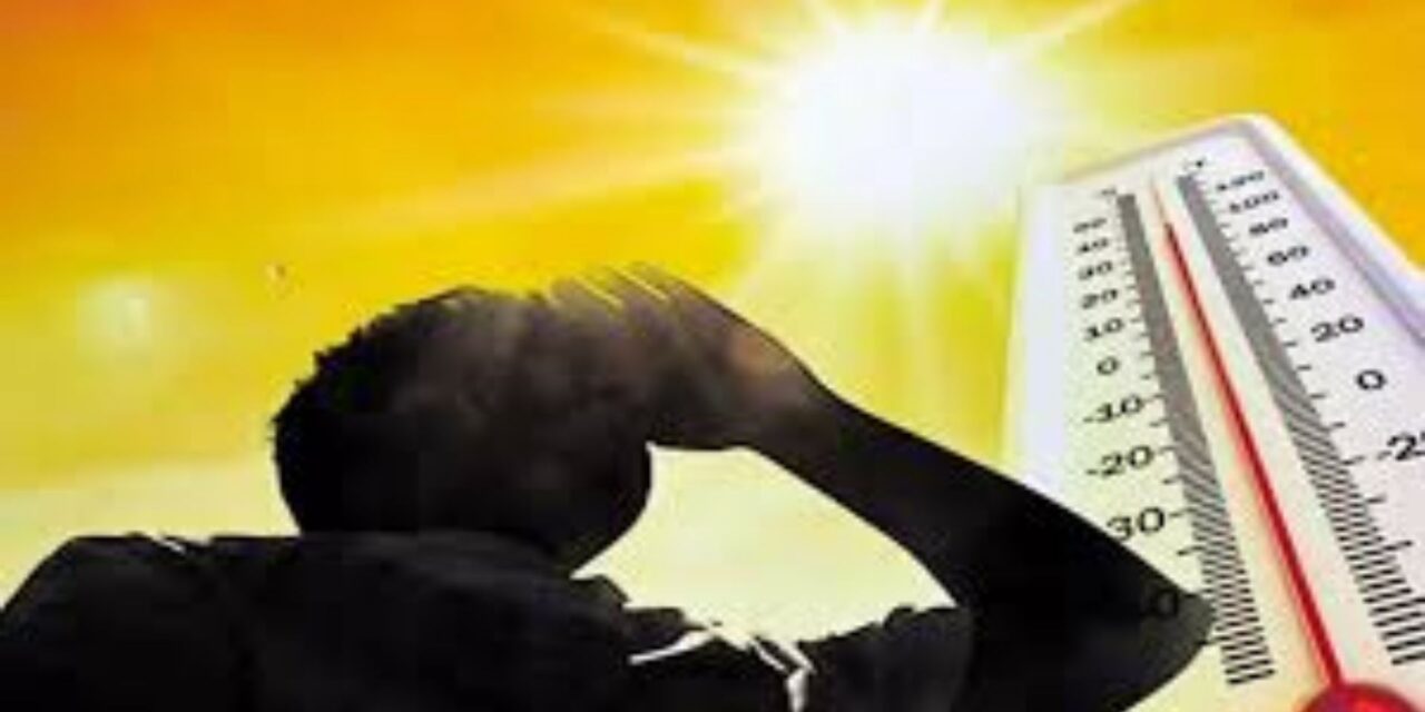 महाराष्ट्रासाठी पुढील ५ दिवस महत्त्वाचे; उष्णेतची तीव्र लाट येणार ; दुपारी १२ नंतर घराबाहेर पडणे टाळा; तज्ज्ञांचा सल्ला
