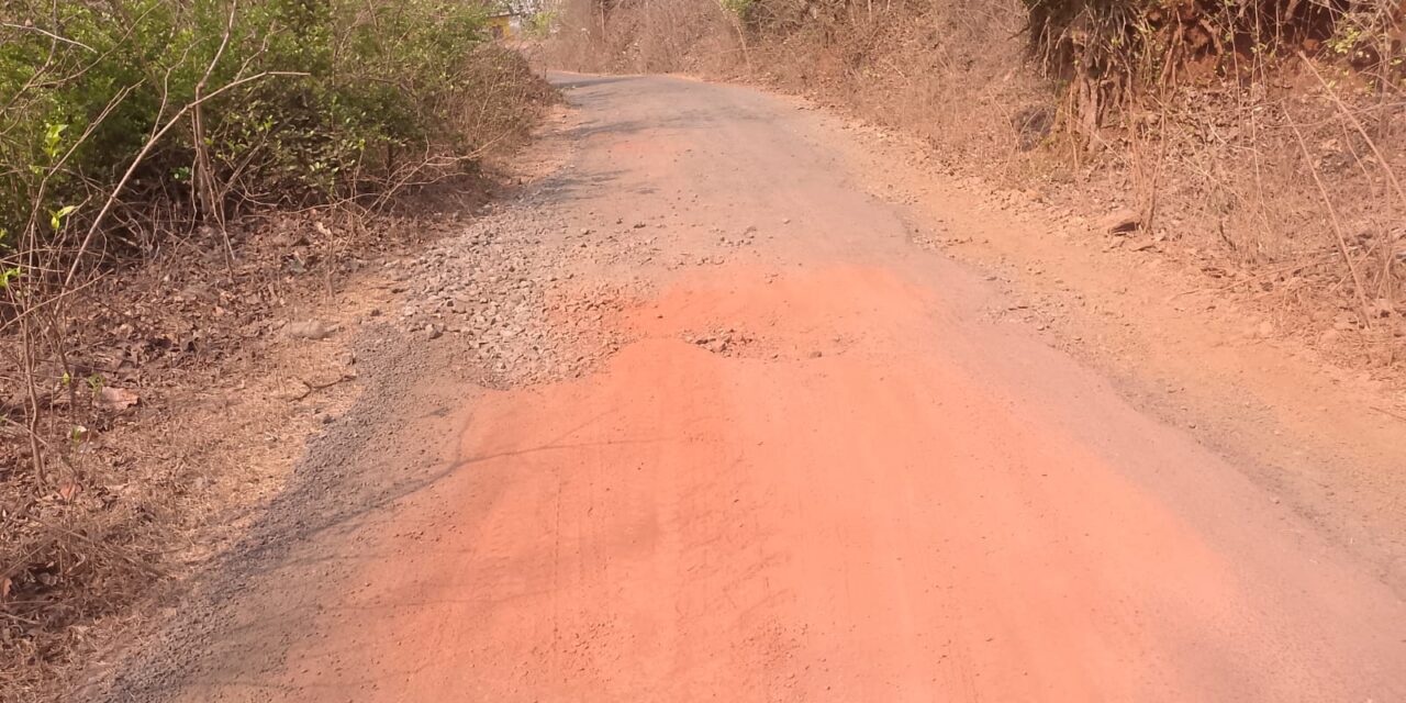 तळे बंदरवाडी देवघर रस्त्याची दुर्दशा .,खड्डे भरण्यासाठी जनतेकडून होत आहे मागणी !