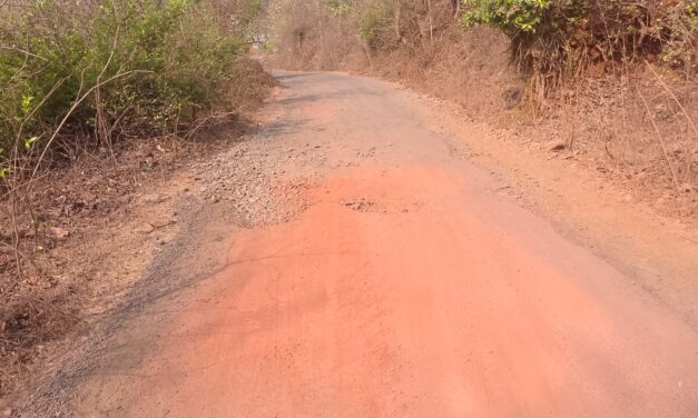 तळे बंदरवाडी देवघर रस्त्याची दुर्दशा .,खड्डे भरण्यासाठी जनतेकडून होत आहे मागणी !