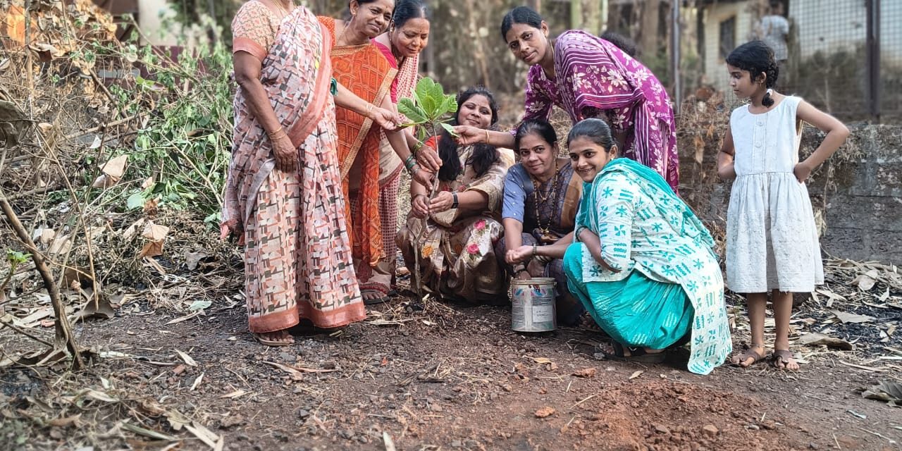 रिजनल टिचर्स ऑर्गनायझेशन पर्यावरण विभाग रत्नागिरी जिल्ह्याच्या वतीने वृक्षारोपण