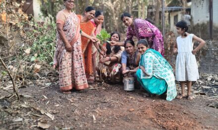 रिजनल टिचर्स ऑर्गनायझेशन पर्यावरण विभाग रत्नागिरी जिल्ह्याच्या वतीने वृक्षारोपण
