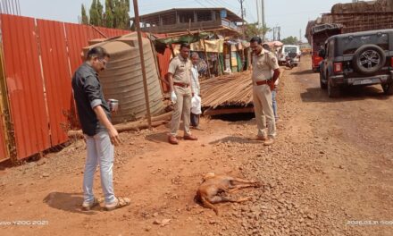 लांज्यात जखमी श्वानासाठी पोलीस धावले; माणुसकीचे दर्शन