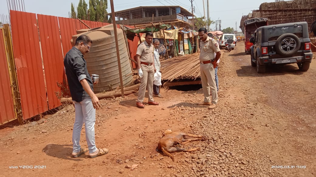 लांज्यात जखमी श्वानासाठी पोलीस धावले; माणुसकीचे दर्शन