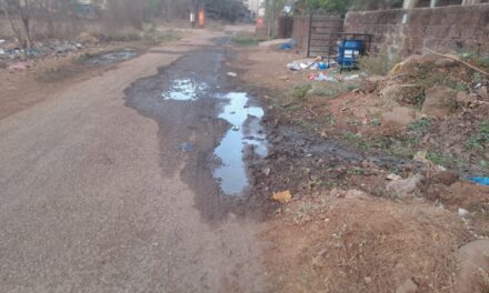 खेड गुलमोहरपार्क येथील रस्त्याचे डांबरीकरण करण्यापुर्वी गटाराचे काम करा.  नागरिकांची मागणी