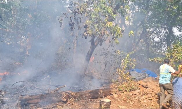 खेडमध्ये भीषण वणवा; अग्निशमन दलाच्या तत्परतेने मोठी दुर्घटना टळली !