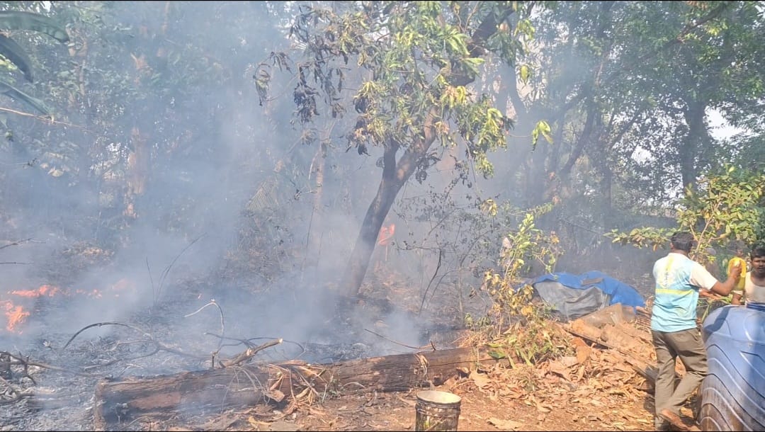 खेडमध्ये भीषण वणवा; अग्निशमन दलाच्या तत्परतेने मोठी दुर्घटना टळली !