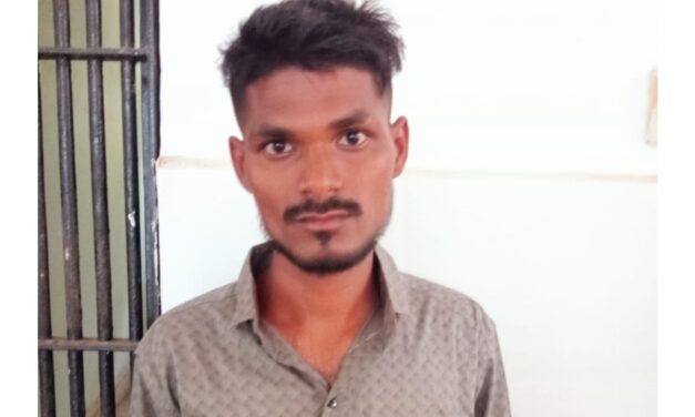 लैंगिक अत्याचार प्रकरणी आरोपीस २० वर्ष सक्त मजुरीची शिक्षा !