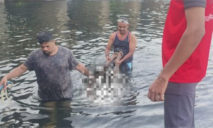 रसायनीतील पाताळगंगा नदीत पोहायला गेलेल्या तरुणाचा बुडून मृत्यू