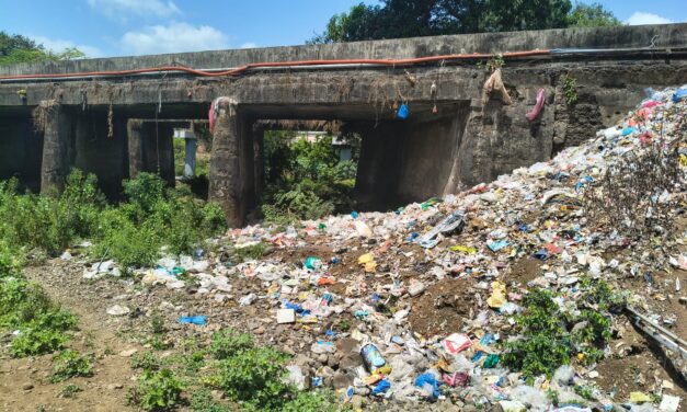 बारवई पुलाखाली नदीपात्रात कचऱ्याचा विळखा; ग्रामपंचायतीच्या दुर्लक्षामुळे नागरिकांमध्ये संताप