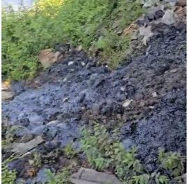 कसाडी नदी पुन्हा प्रदूषणाच्या विळख्यात; संयुक्त पाहणीत गंभीर बाबी उघड , दोषींवर कठोर कारवाईची मागणी