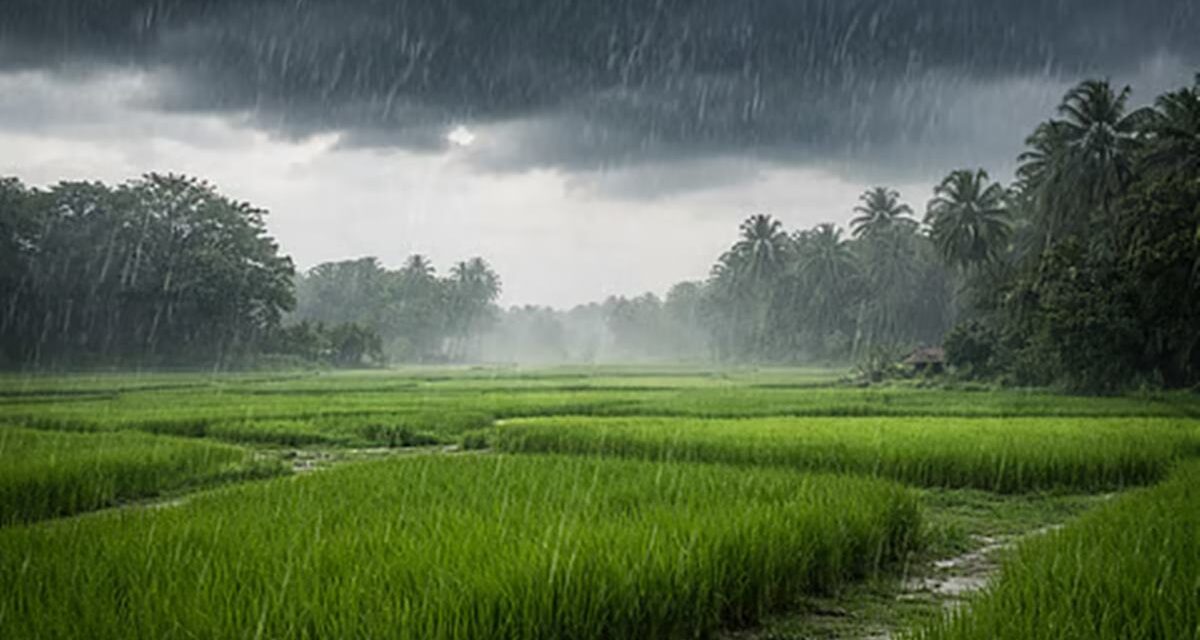 केरळमध्ये नैऋत्य मान्सूनचे आगमन; महाराष्ट्रात मात्र १० जूनपर्यंत प्रतीक्षा ; महाराष्ट्रातील शेतकऱ्यांना पेरणी न करण्याचा सल्ला