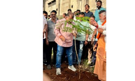 जागतिक पर्यावरण दिनानिमित्त डोंबिवलीत वृक्षारोपण