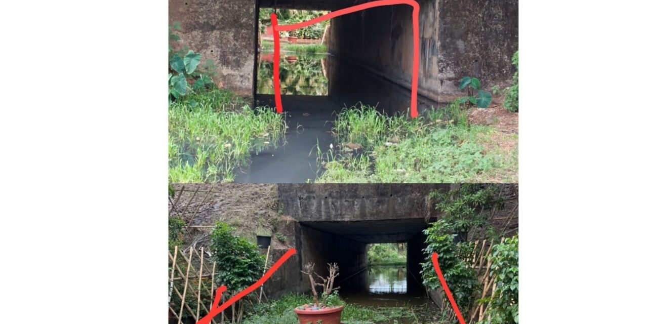 कोकण रेल्वेच्या हलगर्जीपणामुळे खेर्डी येथे डेंग्यू डासांचा प्रादुर्भाव; ग्रामस्थांचे रेल्वे प्रशासनाला निवेदन