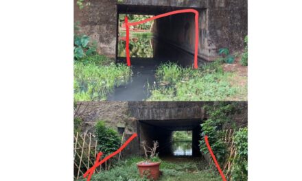 कोकण रेल्वेच्या हलगर्जीपणामुळे खेर्डी येथे डेंग्यू डासांचा प्रादुर्भाव; ग्रामस्थांचे रेल्वे प्रशासनाला निवेदन