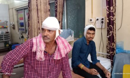 बिबट्याच्या हल्ल्यात दोन भाऊ जखमी बेनी येथे घटना…