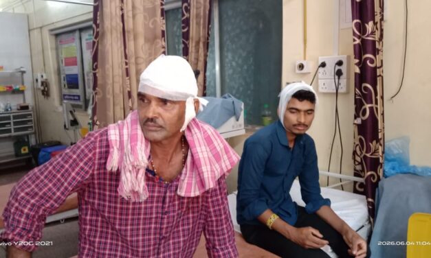 बिबट्याच्या हल्ल्यात दोन भाऊ जखमी बेनी येथे घटना…