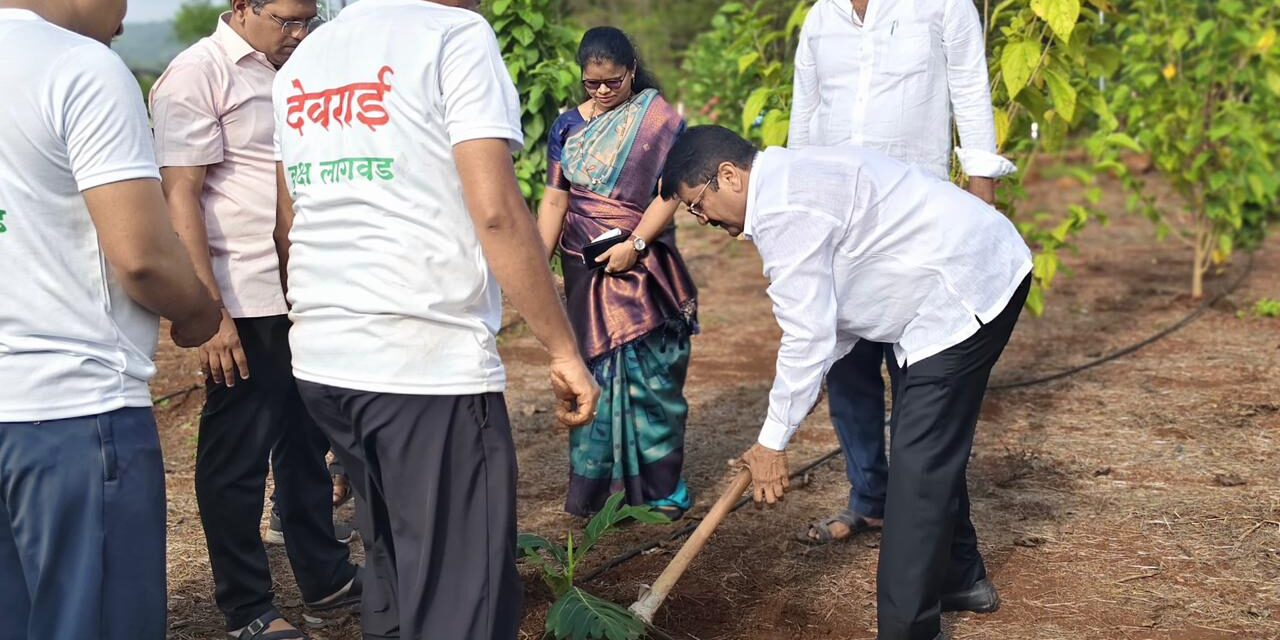 दि बॉटनिकल गार्डनमधील झाडांचा पहिला वाढदिवस साजरा